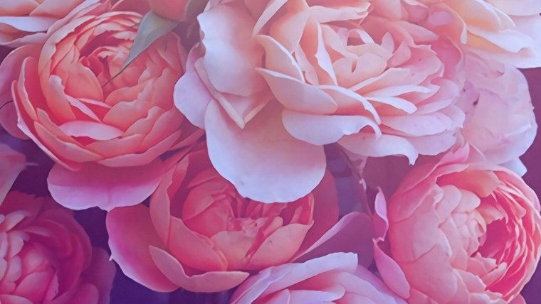 Красивый нежный фон