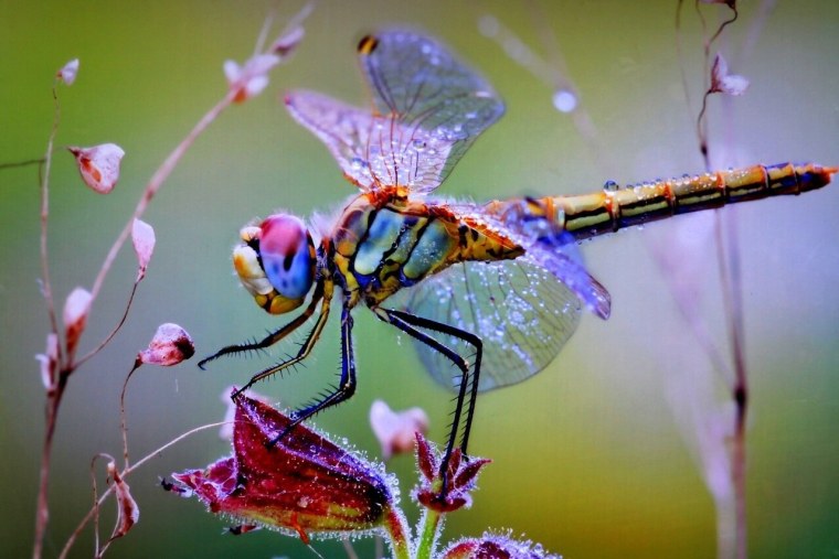 Под микроскопом