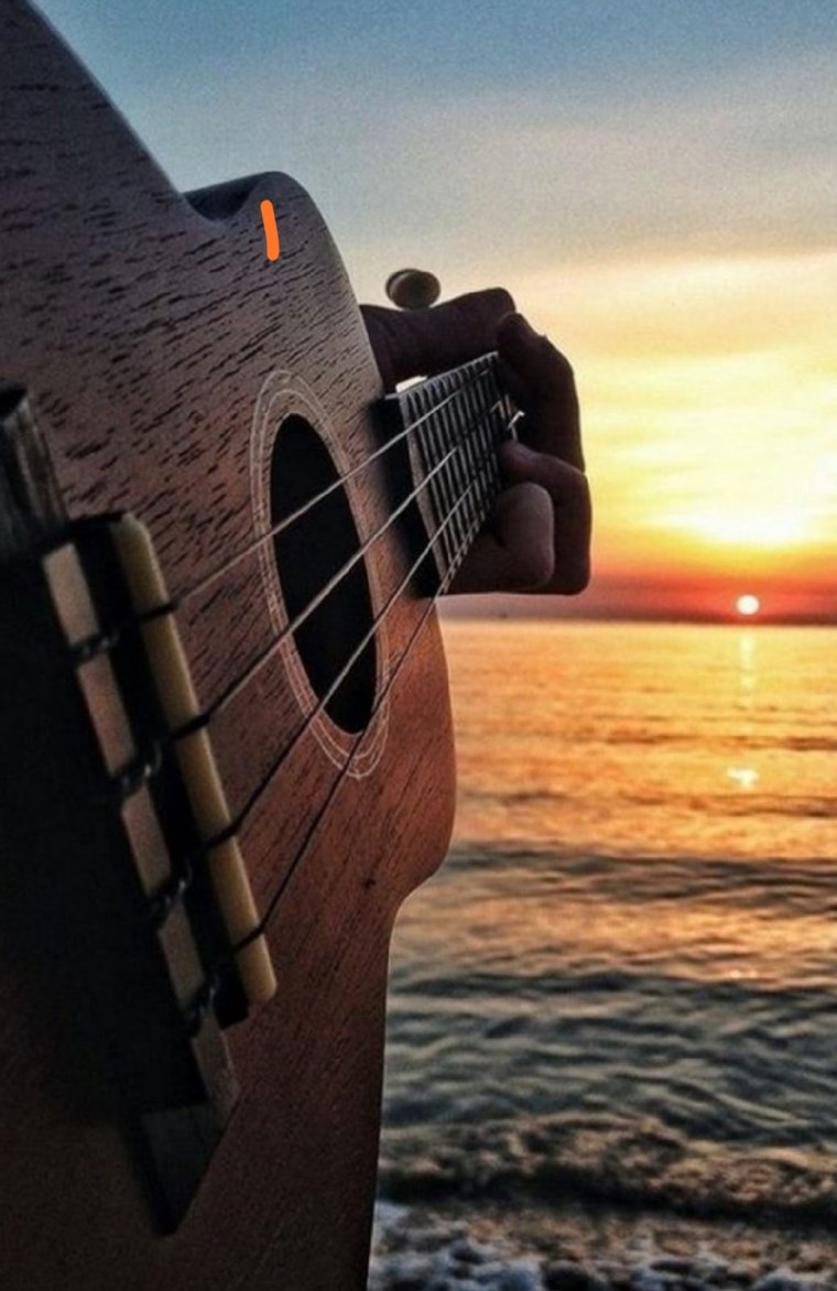 Гитарист на закате