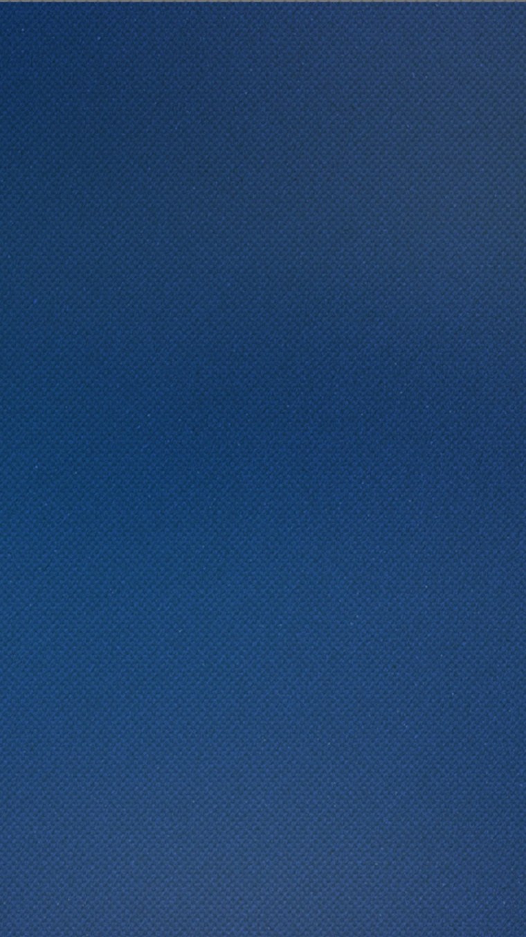 Синие цветы на черном фоне