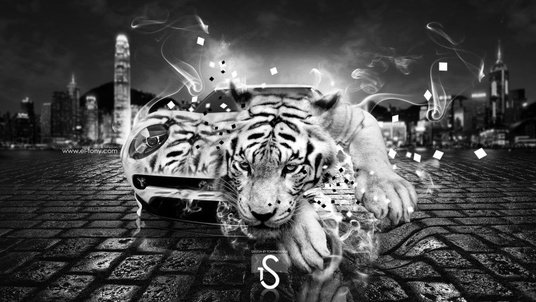 Феи 2008 Динь Динь