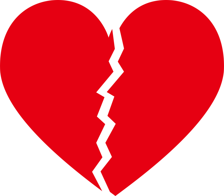 Кулоны дружбы