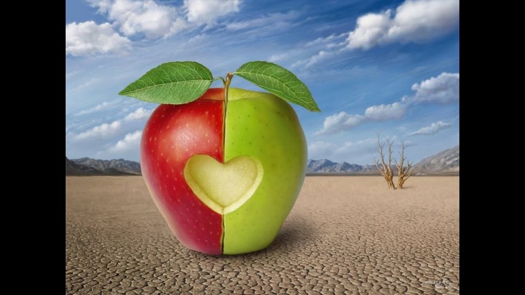 Половинка сердца