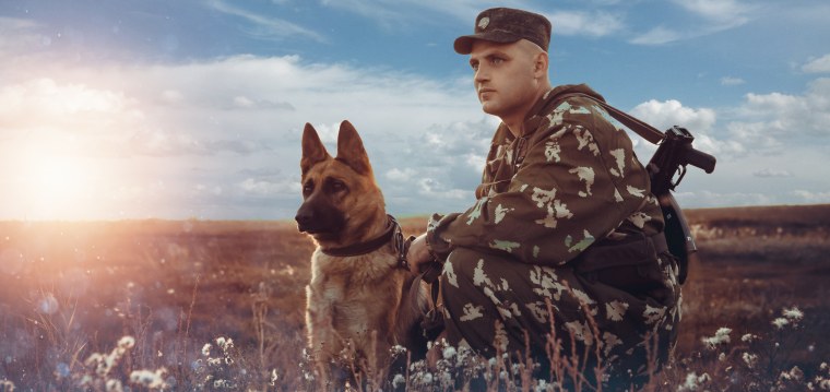 Статусы про пограничника