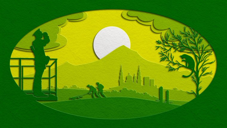 Пограничники фон