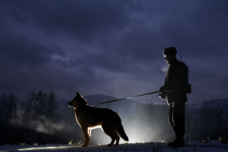 Сосновый Бор погранотряд