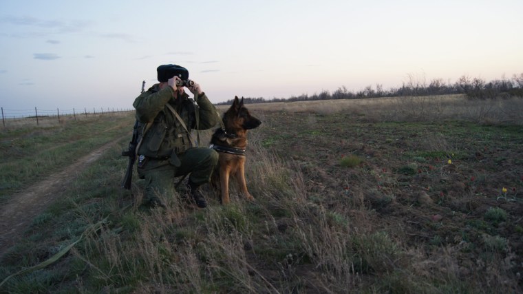 Пограничник в дозоре