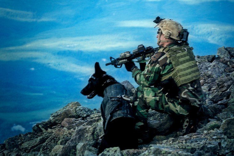 Наклейка пограничные войска