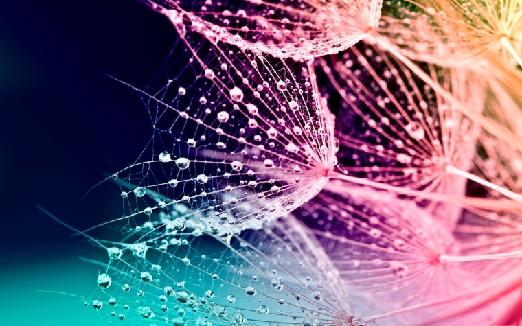 Картинки на рабочий стол телефона вертикальные