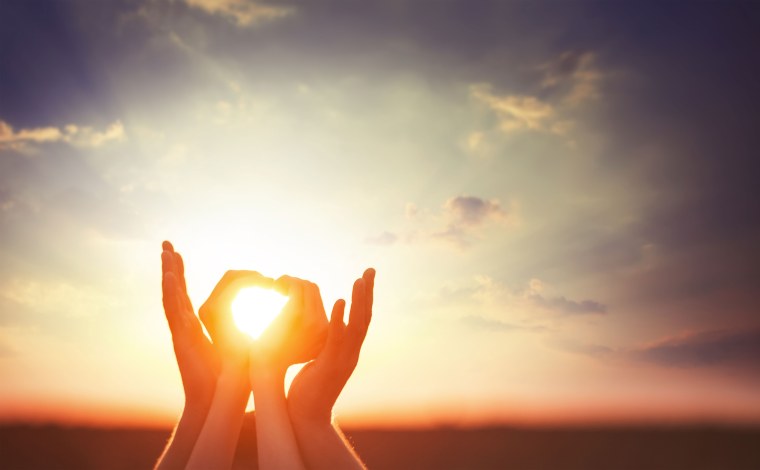 Девушка в подсолнухах со спины