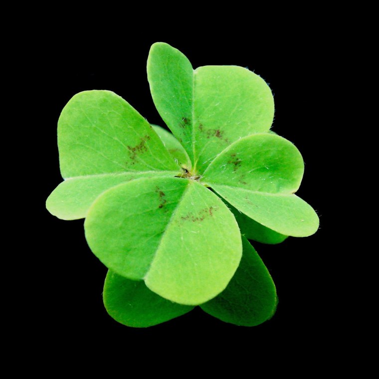 Футурама четырехлистный Клевер