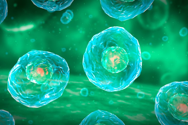 Клетка биология