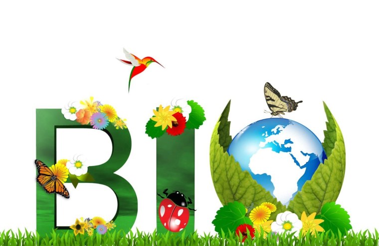 Эмблема биологии