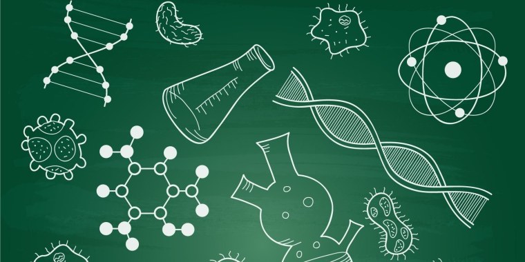 Картинки для презентации по биологии