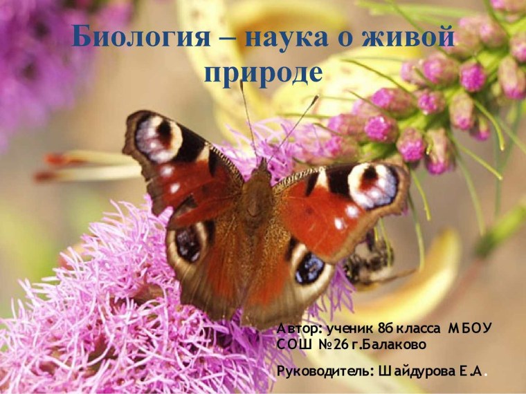 Красивая биология