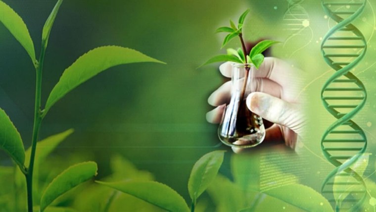 Природа биология