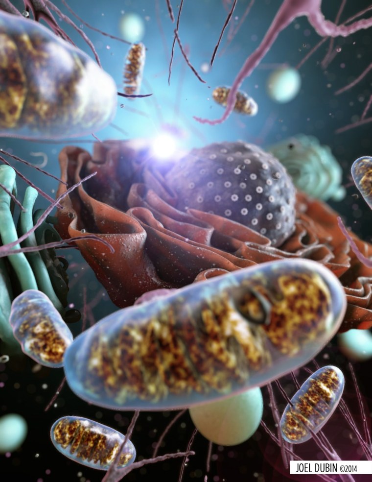 Красивая биология