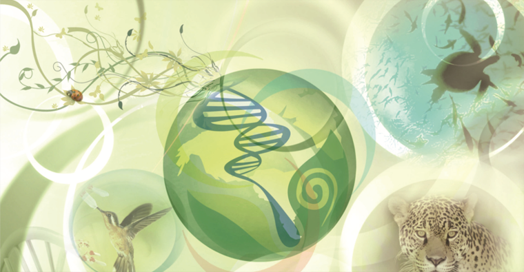 Биология фон