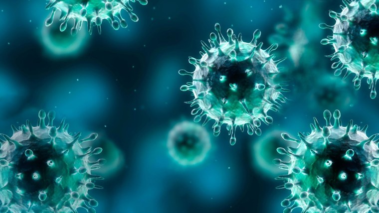 Клетка вируса