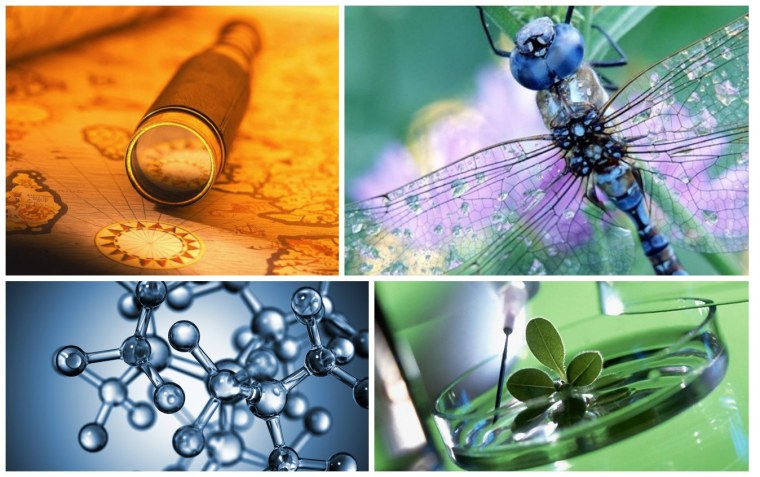 Биология картинки