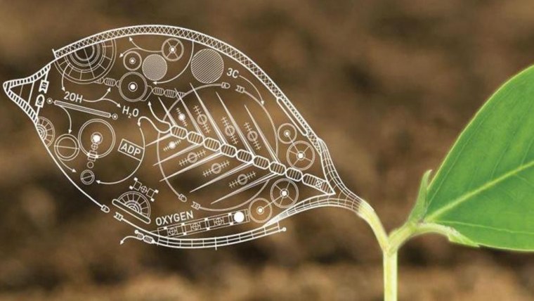 Картинки по биологии