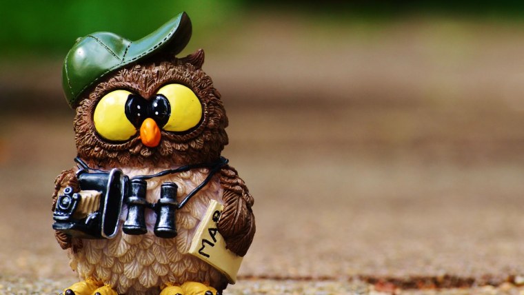 Крутая Сова