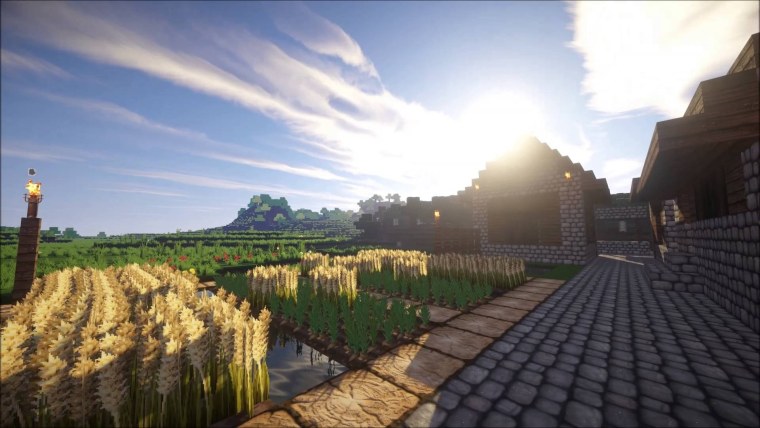 Майнкрафт Виллаге