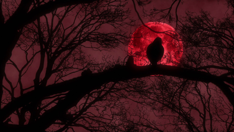 Ворон на фоне красной Луны