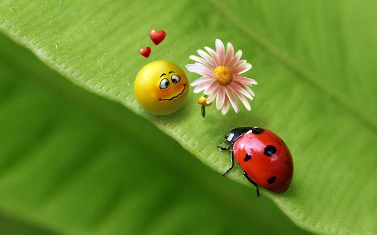 Здоровья и всех благ