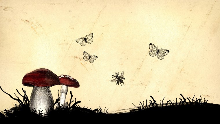 Фон для презентации грибы