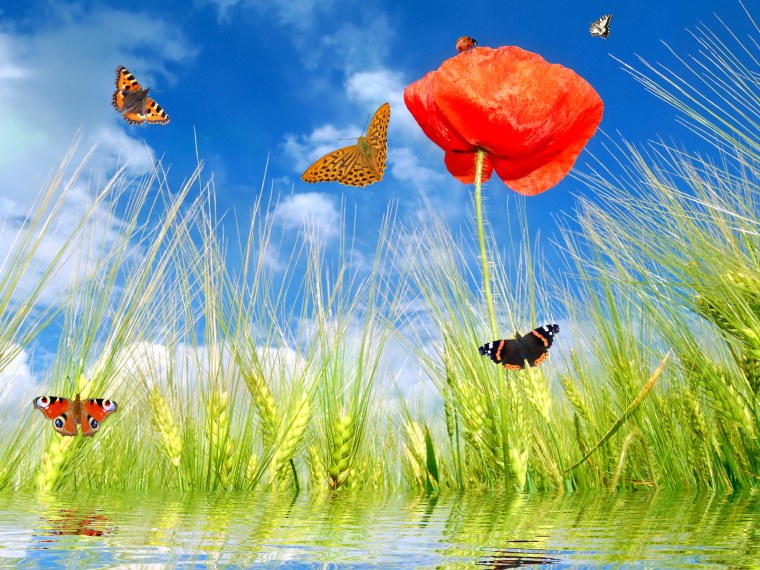 Яркая природа