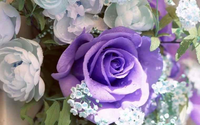 Благородные цветы