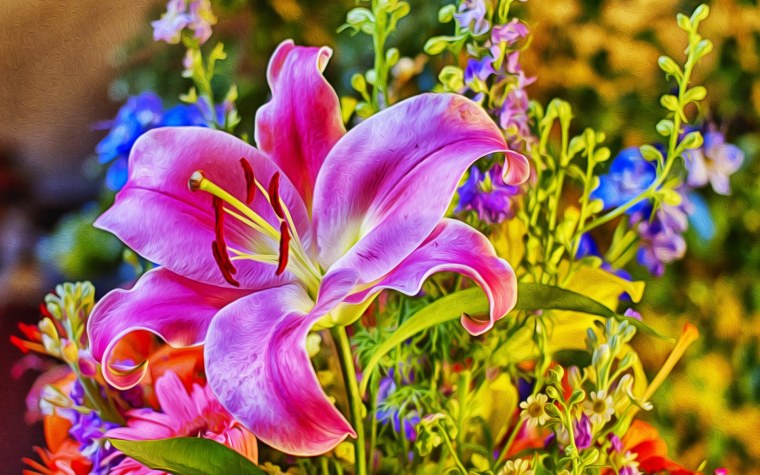 Прекрасные цветы