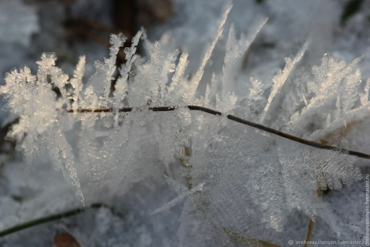Морозные узоры