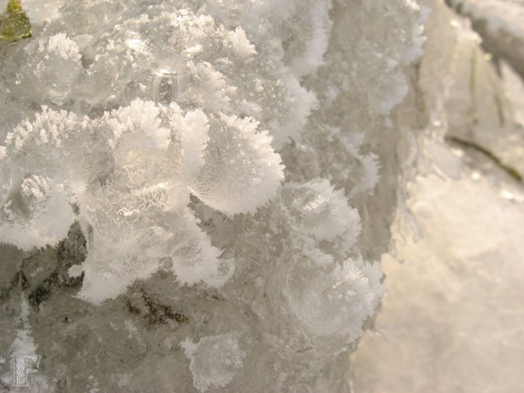 Морозные кружева