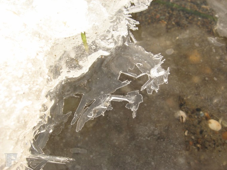 Снежинка реальная