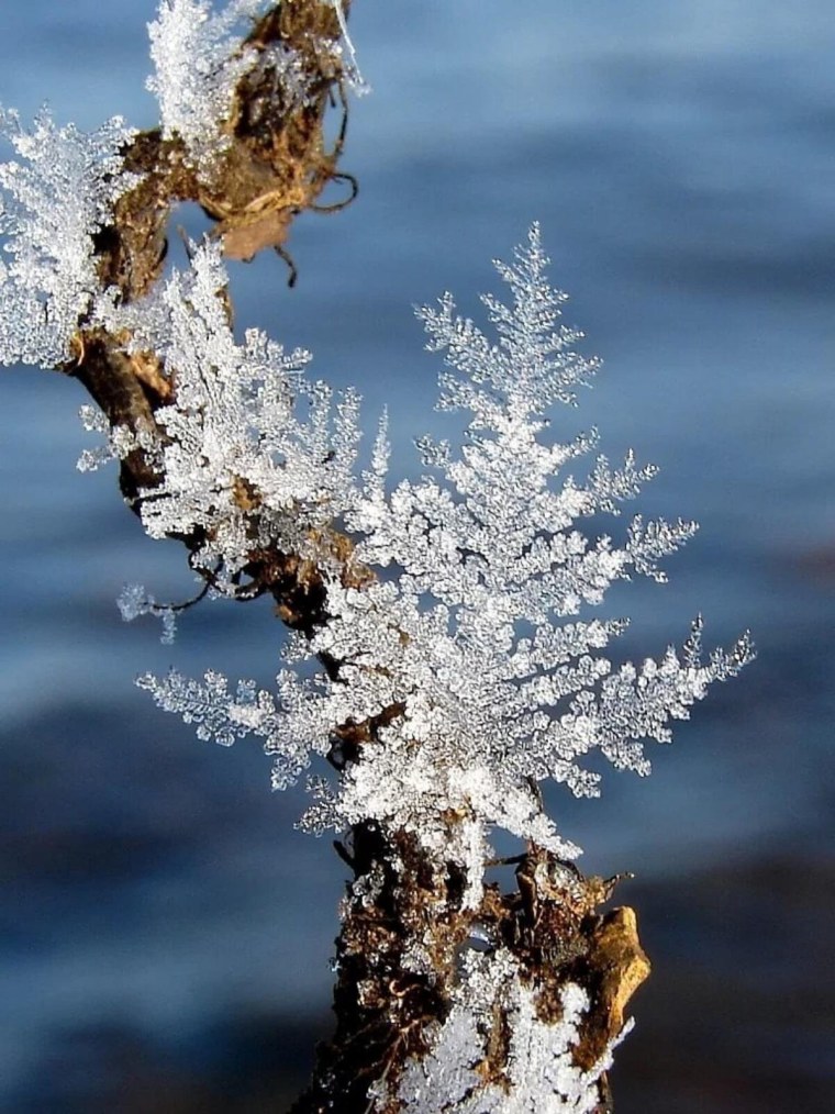 Морозные узоры