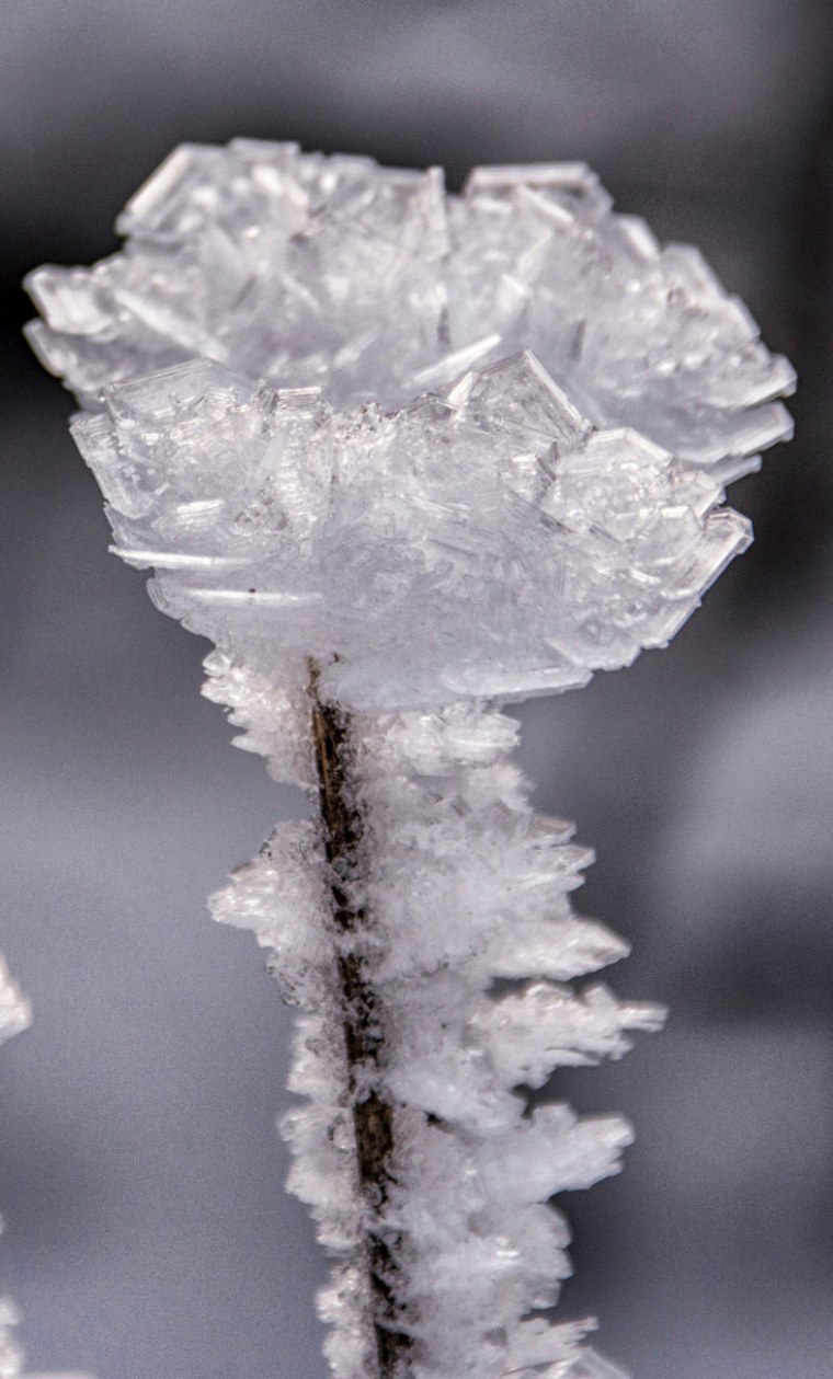 Морозные узоры