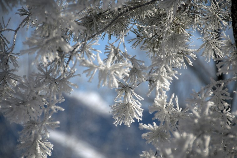 Сибирская изморозь