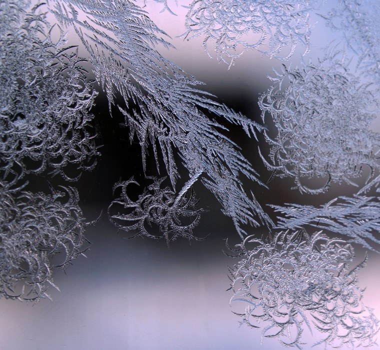 Роса на ветке