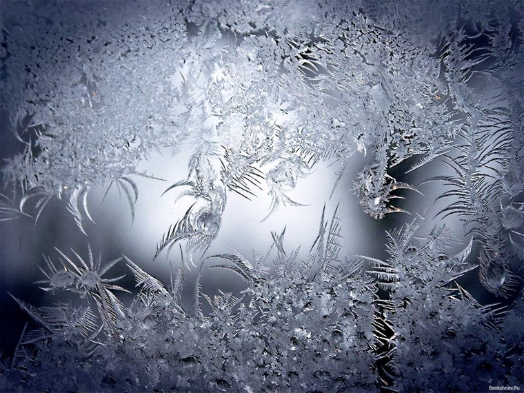 Макросъемка зима