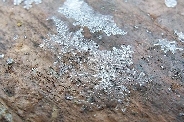 Серебристые льдинки