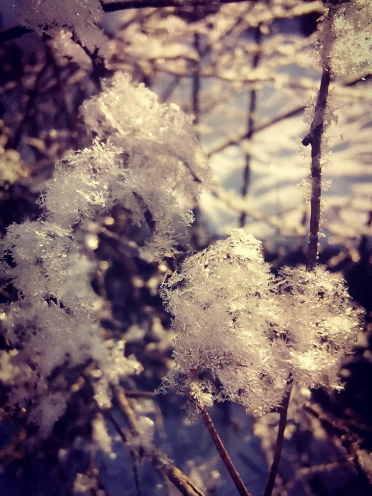 Красивая зима