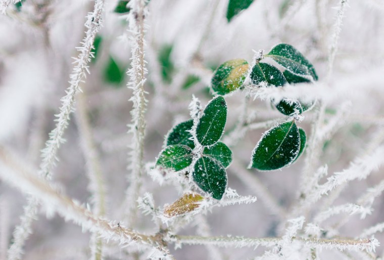 Гололедно-изморозевые отложения