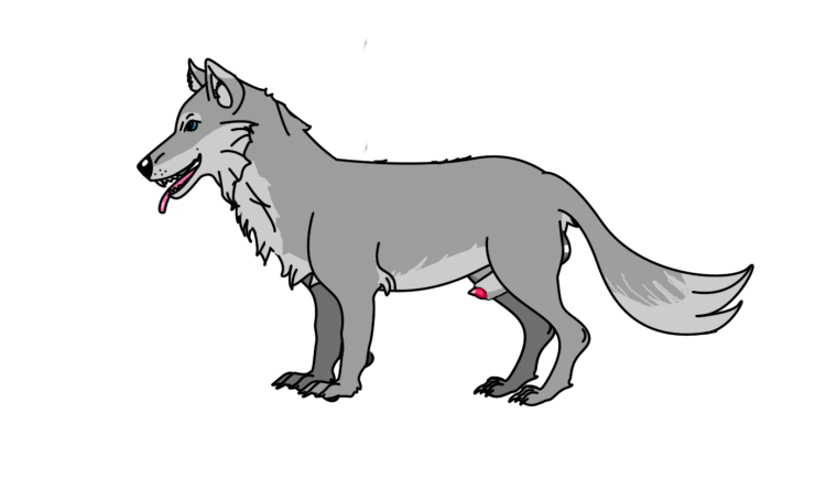 Волк без фона