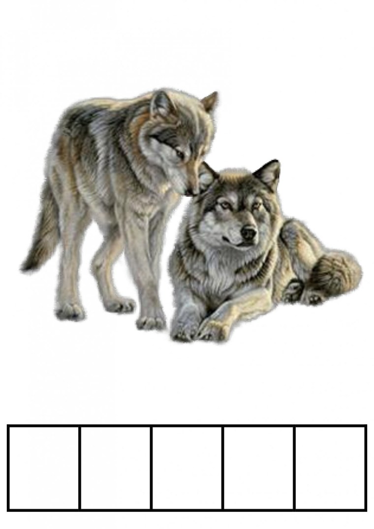 Волчица с волчатами