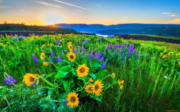 Красивый летний фон