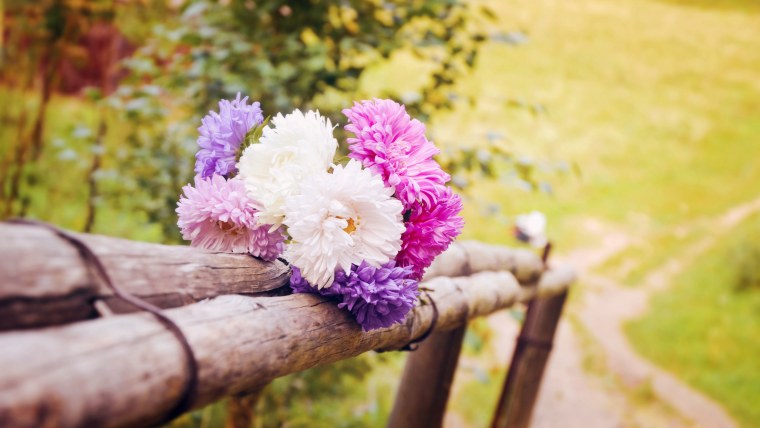 Красивое лето на рабочий стол