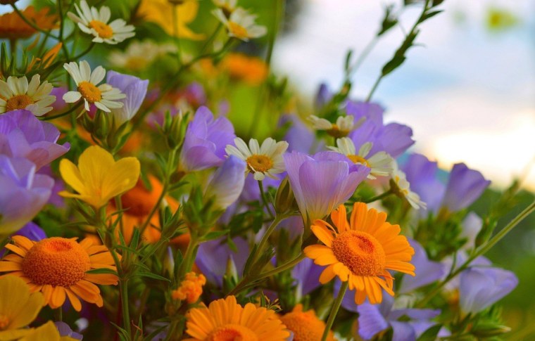 Небо солнце лето