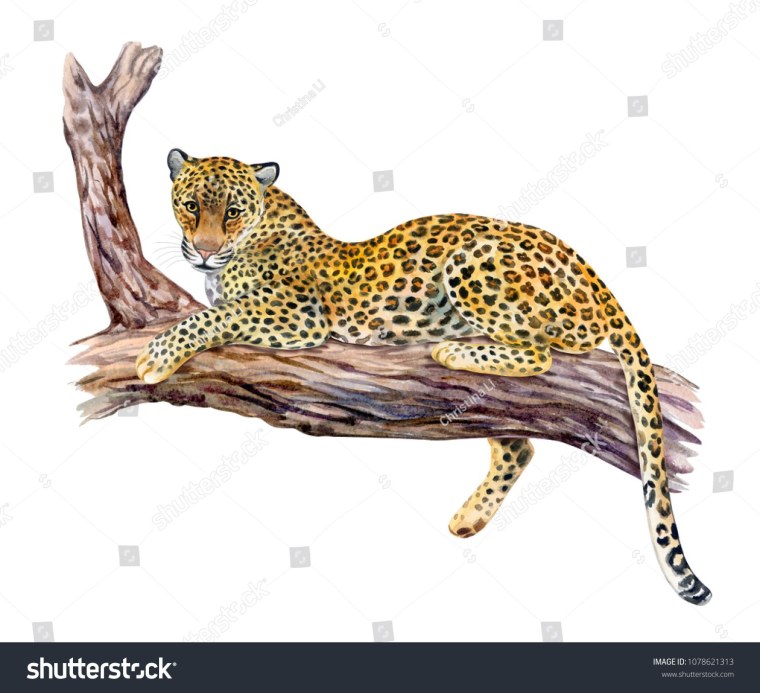 Леопард на дереве рисунок сидит